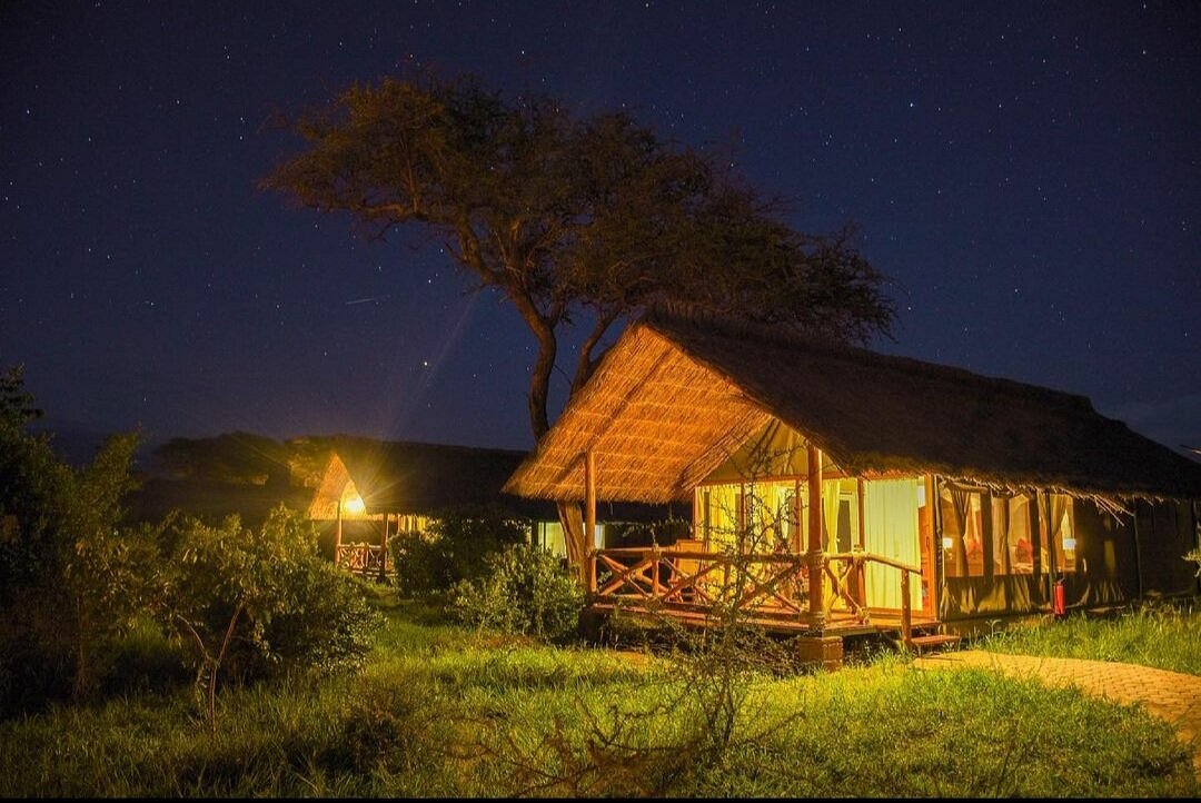 Tarangire Simba Lodge